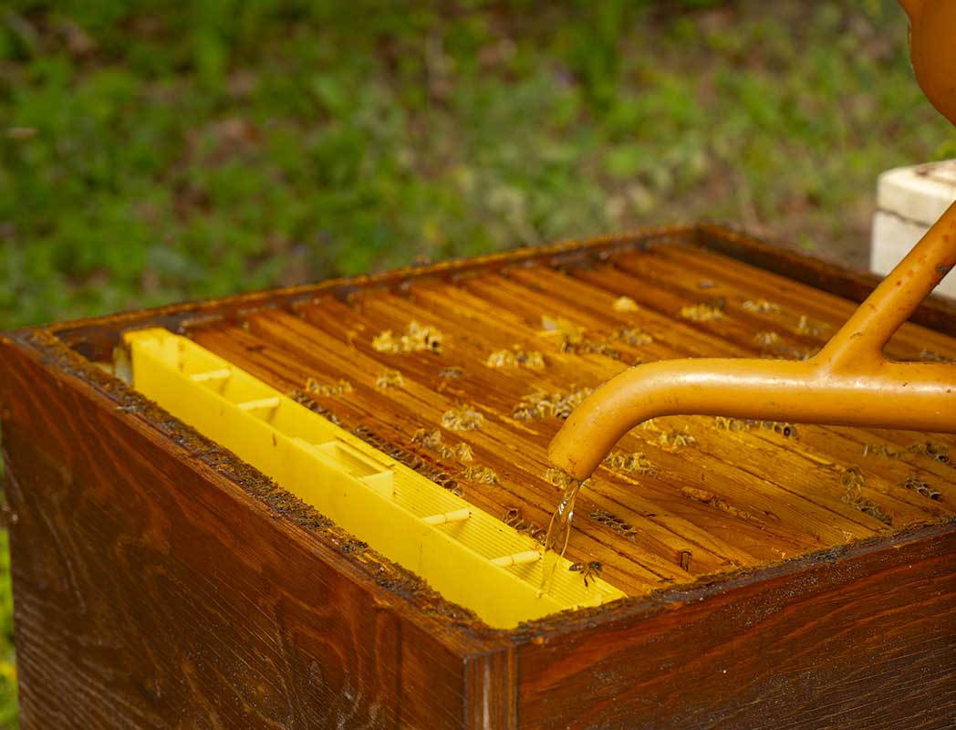 Il preparato viene versato nei nei nutritori posizionati all’interno delle arnie.