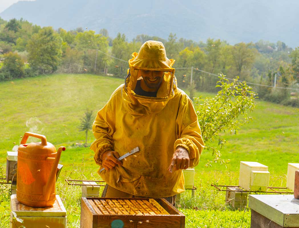 Come ci prendiamo cura delle nostre api nei periodi di scarsità di nettare