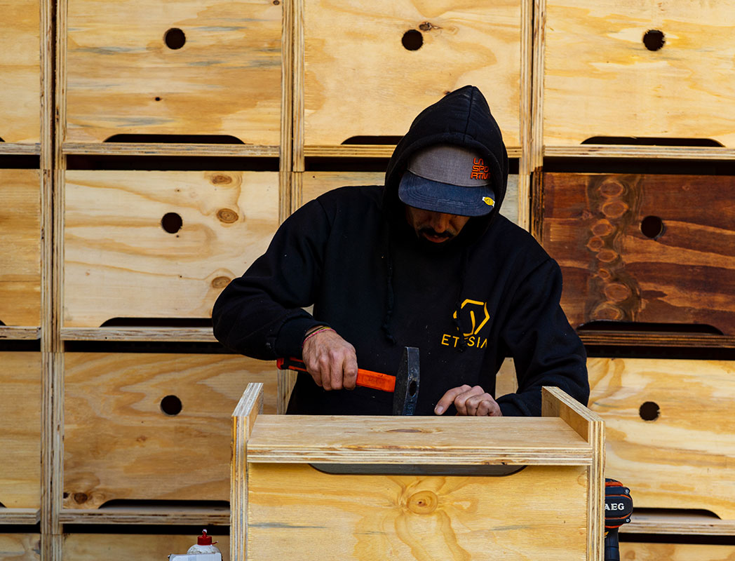 Costruzione Arnie, Etesia Mieli