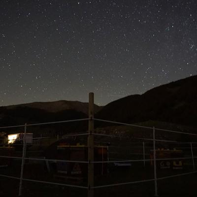 Miele Di Montagna Etesia Notte