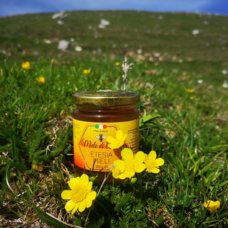 Miele Di Montagna Etesia