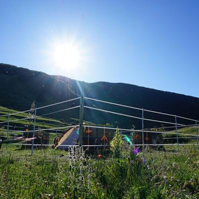 Miele Di Montagna Stazzo Parco