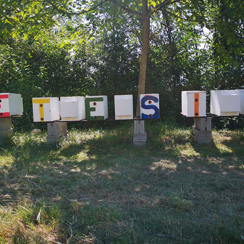 Etesia Mieli Arnie Lettere